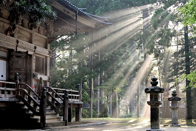 Van serene tempels tot wilde savannes: luxe reizen door Japan en Zuid‑Afrika